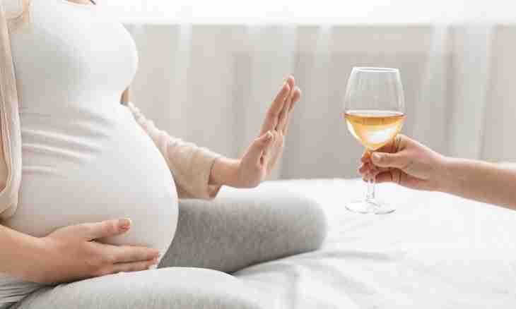 Whether it is possible to drink beer during pregnancy