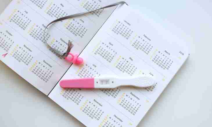 Calculation of terms of pregnancy by means of interactive calendars