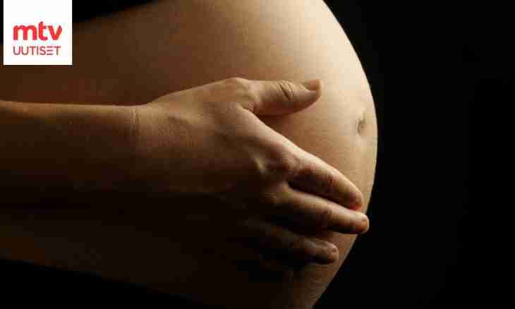 What characterizes the fourth week of pregnancy