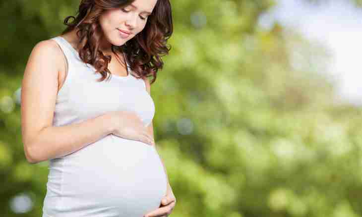 How to identify pregnancy