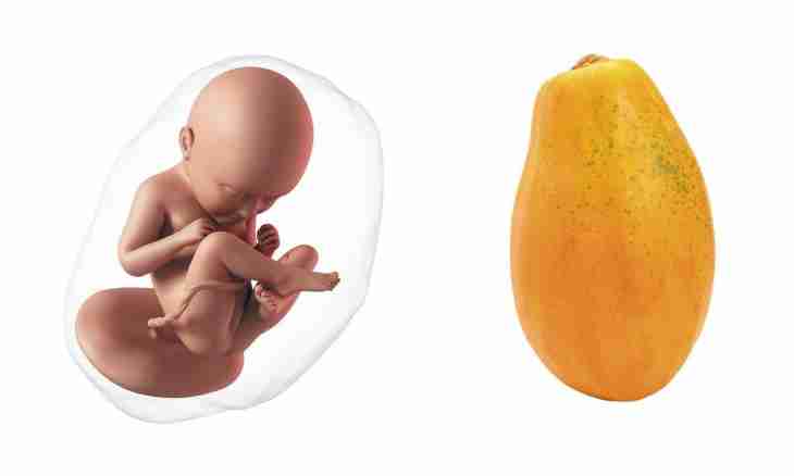 23 weeks of pregnancy: feelings, development of a fruit