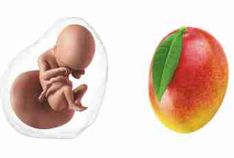 37 weeks of pregnancy: feelings, development of a fruit