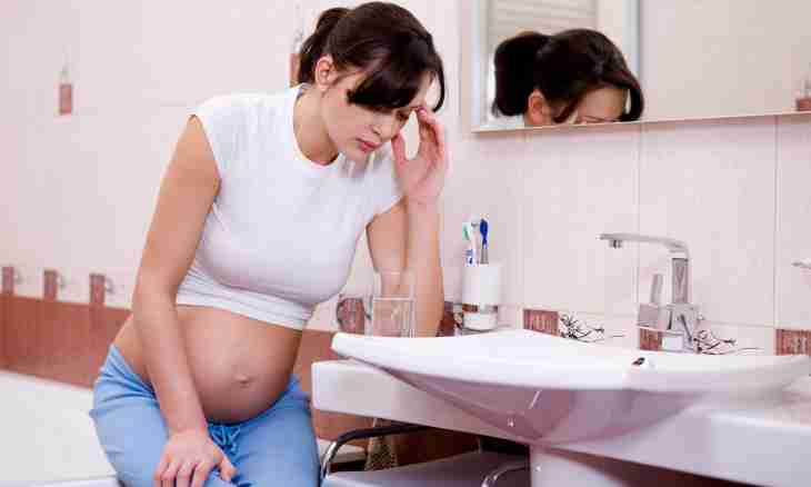 Pregnancy: on what term the toxicosis begins