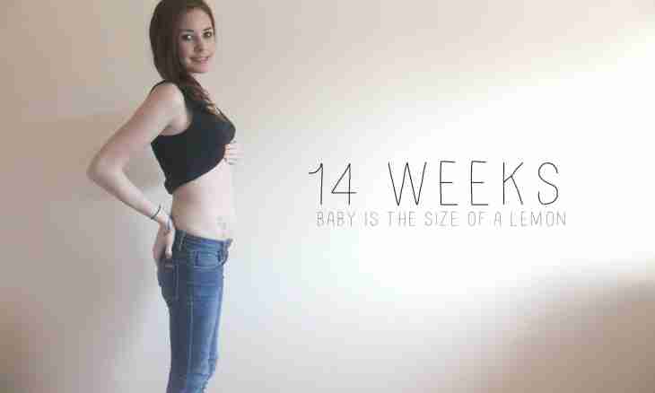 What characterizes the seventh week pregnancy