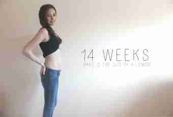 What characterizes the seventh week pregnancy