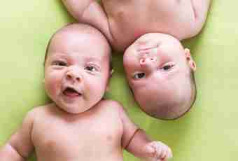 Why twins are born