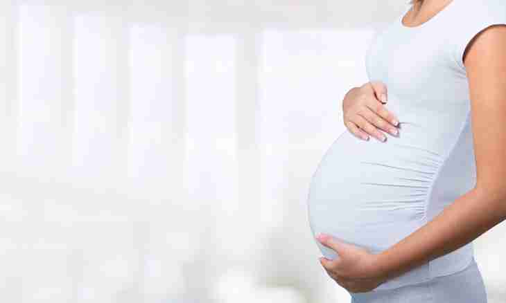7 myths about pregnancy