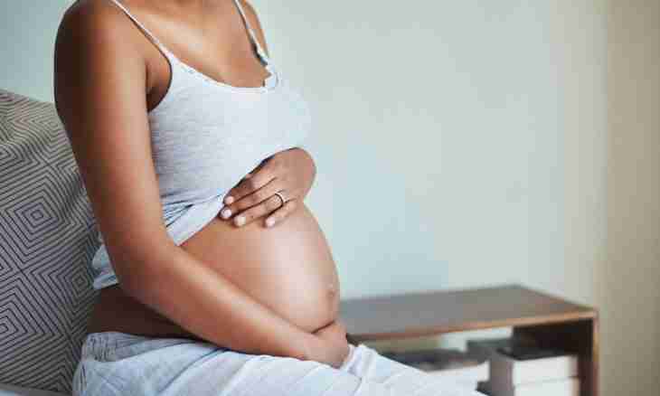 Prenatal record of the pregnant woman