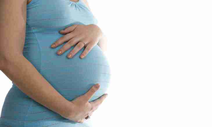 How does the stomach quickly grow at pregnancy?