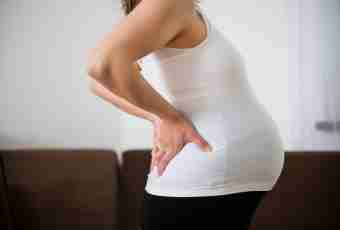 How to define that pregnancy false