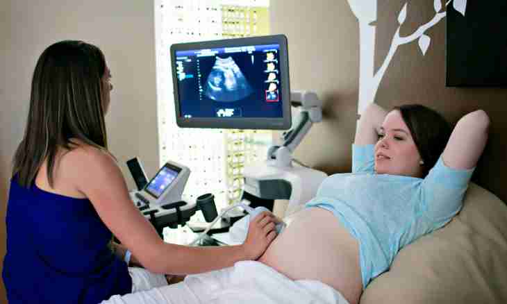 As twins look on ultrasonography