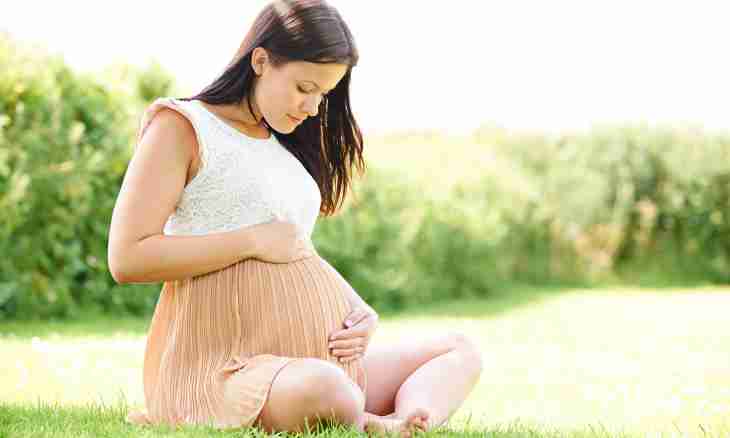 Pregnancy in the summer: councils and secrets