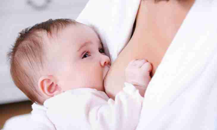 How to prepare a breast for feeding