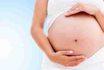 How to define signs of pregnancy