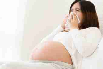 What cough syrups can be applied during pregnancy