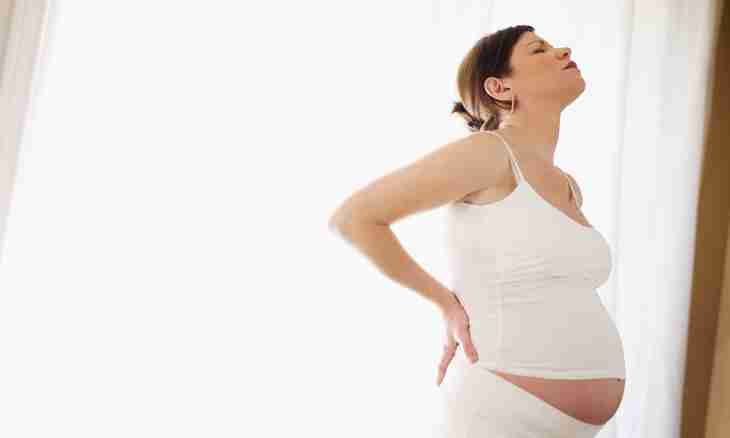 How not to ache at pregnancy