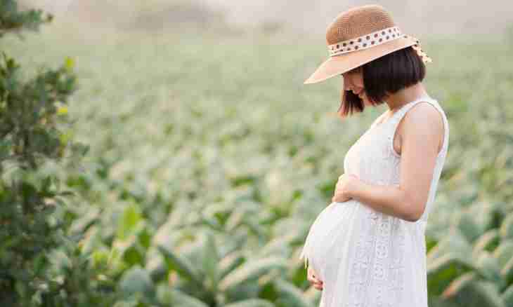 What inoculations can be done to pregnant women