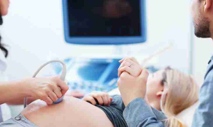 11 week of pregnancy: description, stomach, ultrasonography, feelings