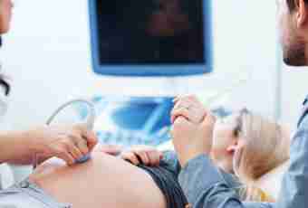 11 week of pregnancy: description, stomach, ultrasonography, feelings