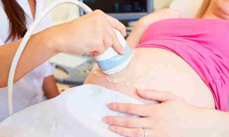 Diagnosis saddle uterus: how to become pregnant