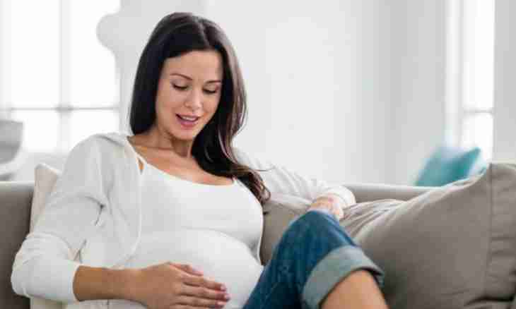 Surrogacy: pros and cons