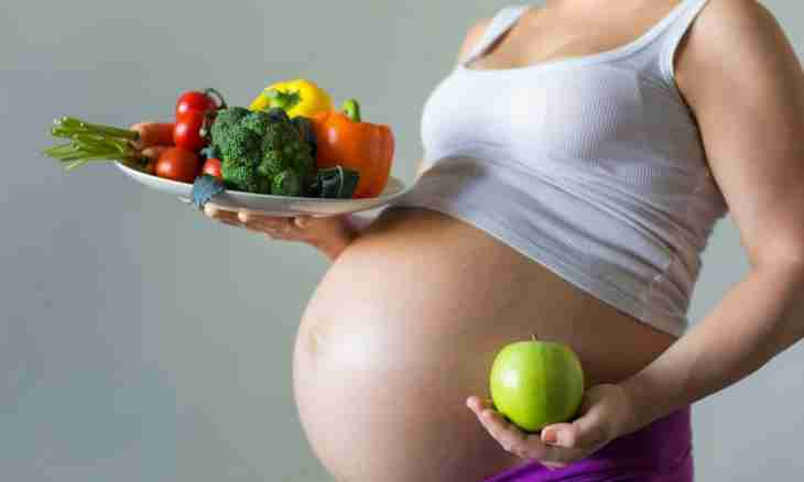 14 weeks of pregnancy: feelings, development of a fruit
