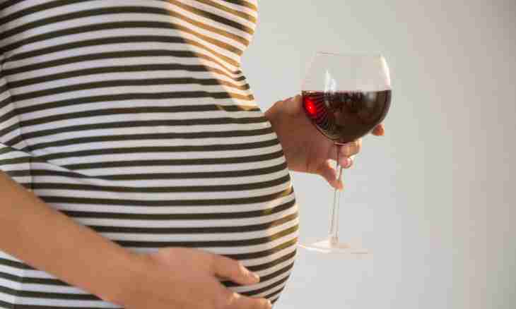 Influence of alcohol on pregnancy