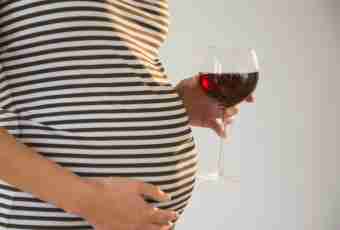 Influence of alcohol on pregnancy