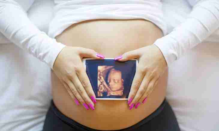 12 week of pregnancy: feelings, development of a fruit, ultrasonography