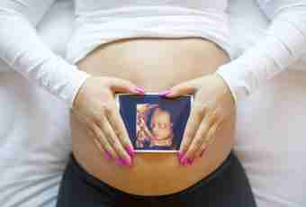 12 week of pregnancy: feelings, development of a fruit, ultrasonography