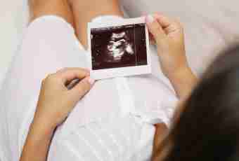 5 week of pregnancy: description, ultrasonography, feelings