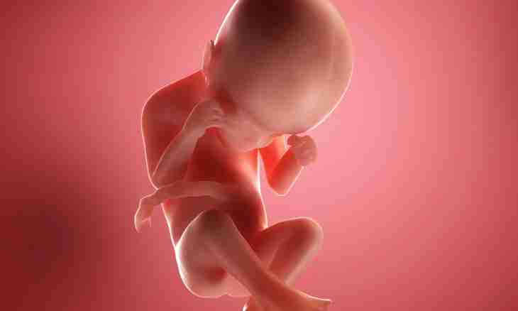 40 weeks of pregnancy: feelings, development of a fruit