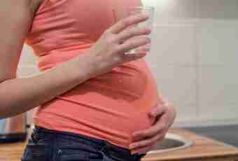 15 weeks of pregnancy: feelings, development of a fruit
