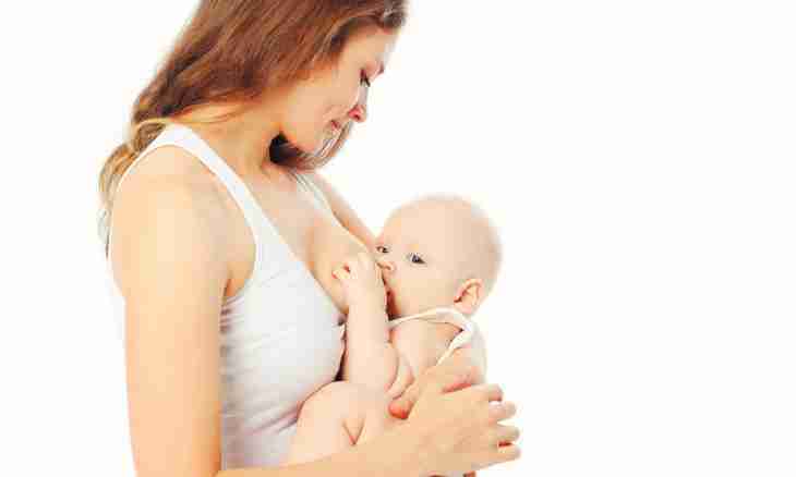How to avoid stings during feeding by a breast