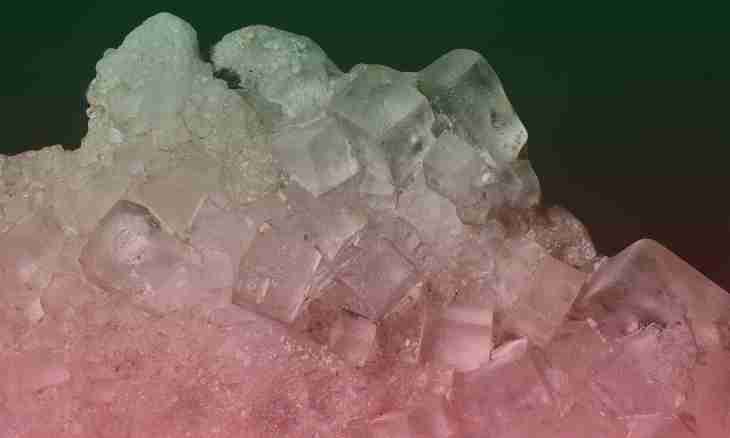 How independently to grow up a crystal from salt