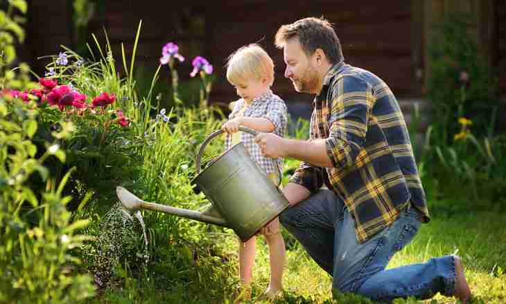 How to persuade the child to go to a garden