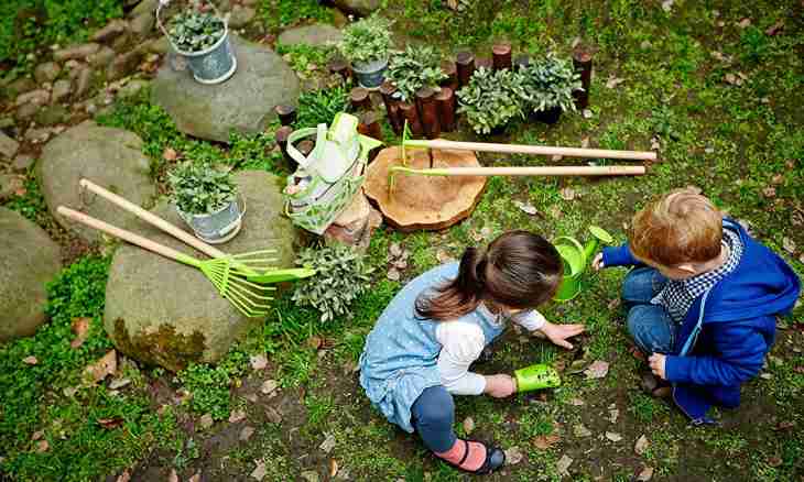 How to play with children in a garden