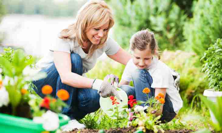 How to bring together the child in the morning in a garden