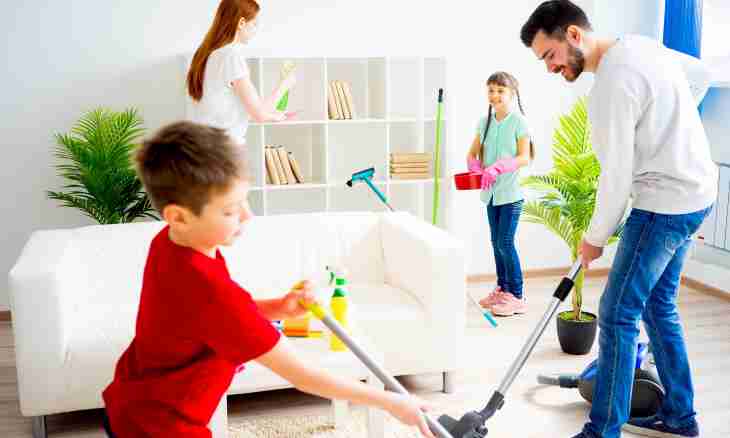How to accustom the child to household chores