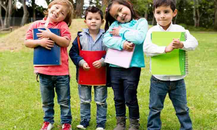 The first time in kindergarten: how to help to adapt to the child