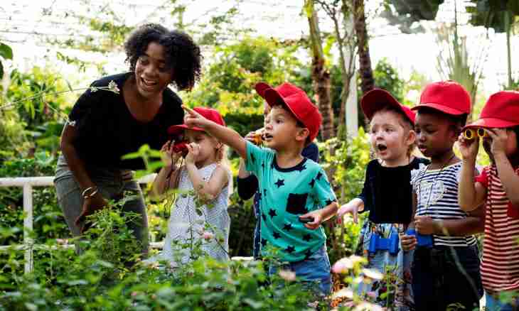 How to acquaint preschool children with the nature