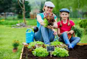 How to suit the child in a garden without registration