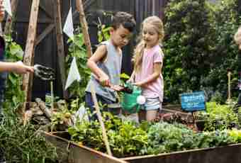How to prepare the child for a garden