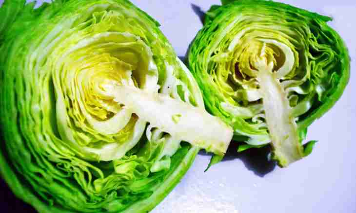 How to prepare a Chinese cabbage