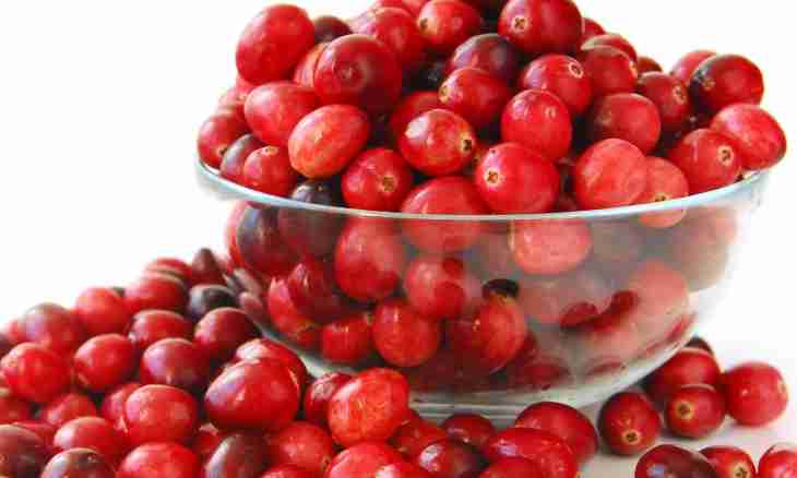 Diet of the nursing mother: cranberry, cowberry, sea-buckthorn