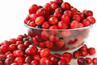 Diet of the nursing mother: cranberry, cowberry, sea-buckthorn