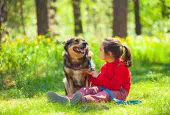 Relationship of children and pets: what needs to be known