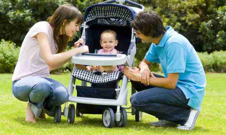 How to choose a carriage for travel with the child