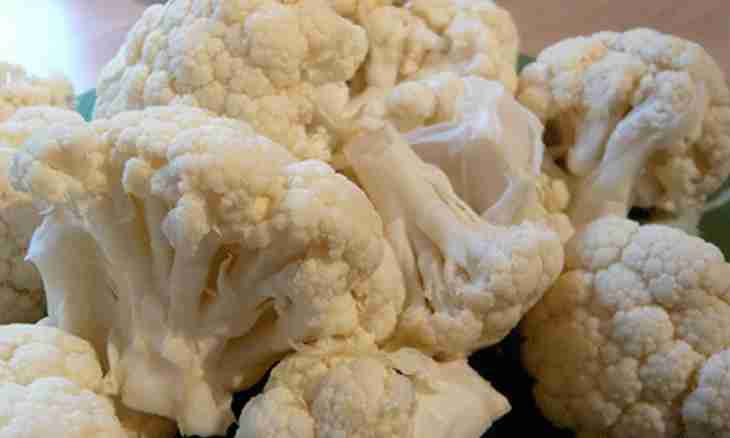 How to cook a cauliflower to the child