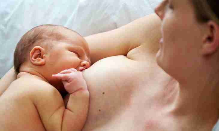 How to recover a breast after feeding of the child